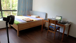 d'Nest (D18), Condominium #531561521